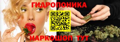СК Балахна
