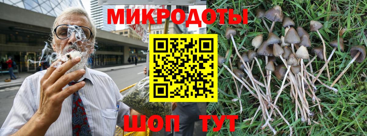 Псилоцибиновые грибы мухоморы Гурьевск