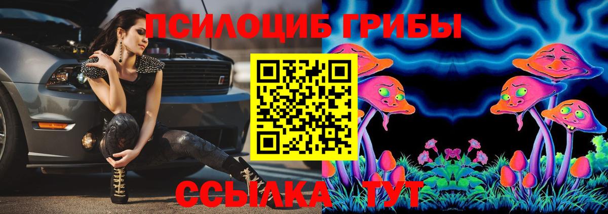 Псилоцибиновые грибы MAGIC MUSHROOMS  Псилоцибиновые грибы прущие грибы  Вход с VPN  Гурьевск 